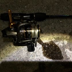 アジが釣りたいのにーーーー