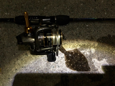 アジが釣りたいのにーーーー