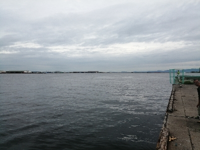 サビキにノマセ