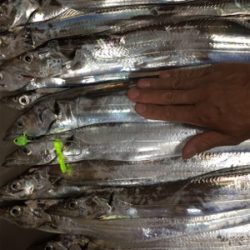 タチウオ釣り最高！