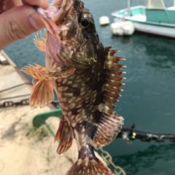 暇潰しのライトゲーム