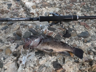 秋田男鹿堤防にて