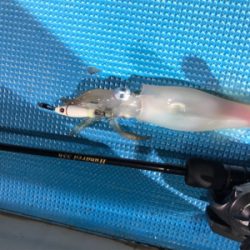 イカメタルでマイカラッシュ