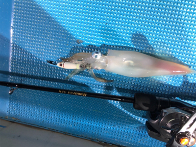 イカメタルでマイカラッシュ