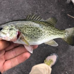 あんまりな土曜日