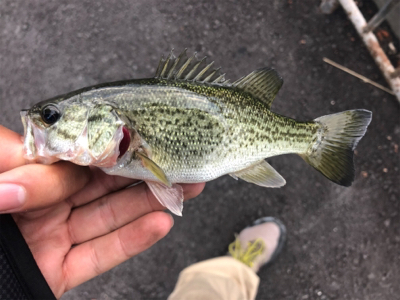 あんまりな土曜日