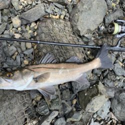 爆風トップゲーム