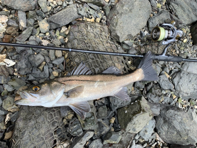 爆風トップゲーム