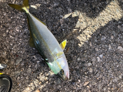 テトラでウキ釣り
