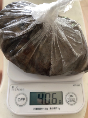 タコシーズン開幕