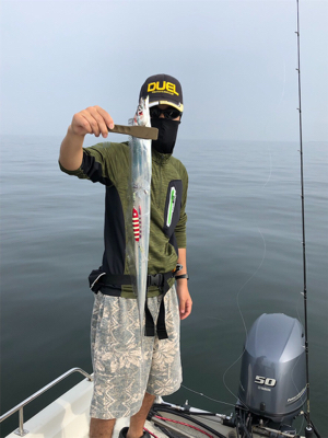 博多湾 タチウオ