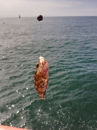 ショアジギング失敗