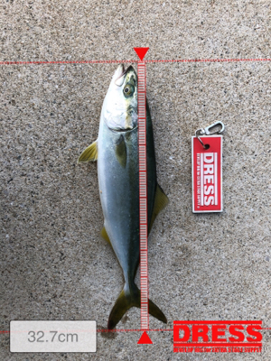 青物楽しー！！