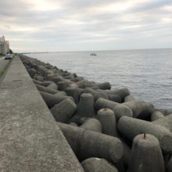 タチウオワインド