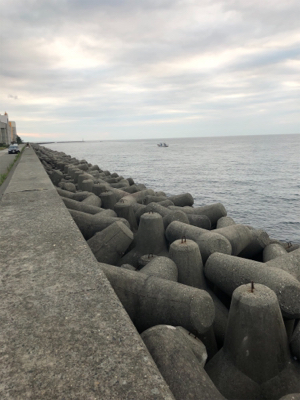 タチウオワインド