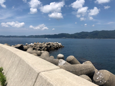 初沼島釣行