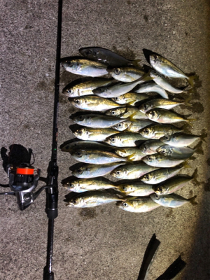 爆風アジング2日目