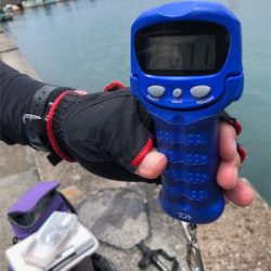 夏イカキターーッ♪─O(≧∇≦)O─♪