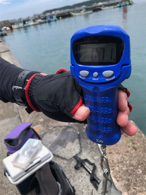 夏イカキターーッ♪─O(≧∇≦)O─♪