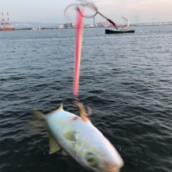 ちびっ子サイズ