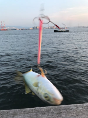 ちびっ子サイズ