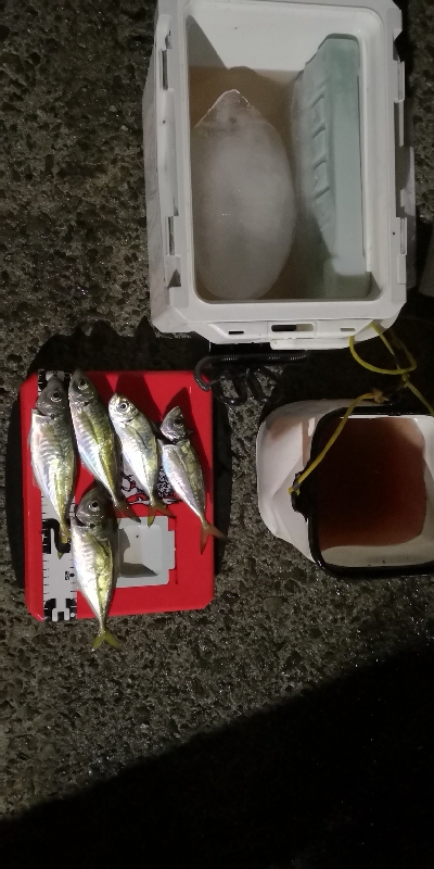 アジング練習中３