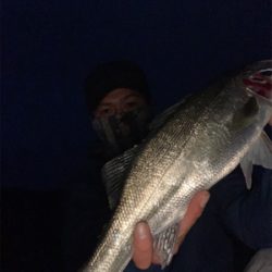 ニューポイント開拓