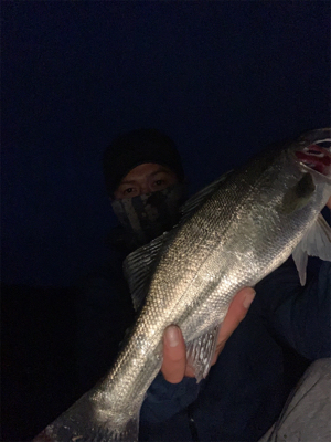 ニューポイント開拓