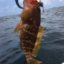 マイボートで丹後釣行。