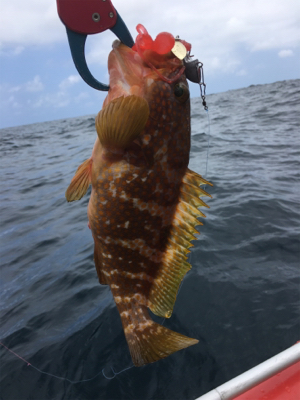 マイボートで丹後釣行。