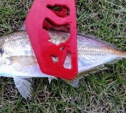 アジンガー1810〜1940