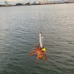 ビッグワン求めて