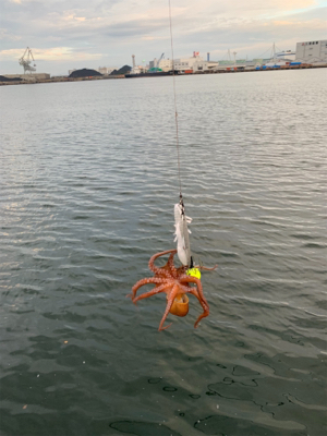 ビッグワン求めて