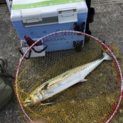 自己ベスト更新v