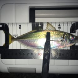 Fシステム-アジング