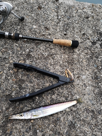 そろそろ釣れる時期？