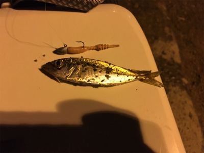 恐るべし…熟成アクア