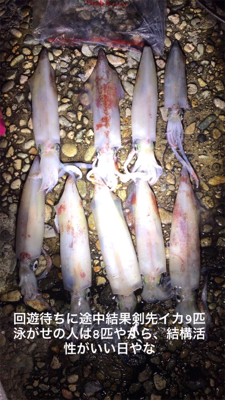 アジおらんおもたら、剣先イカ回ってきてた