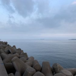 フォールでタチウオ