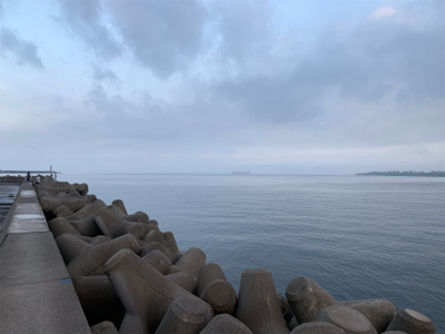 フォールでタチウオ