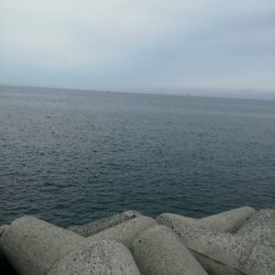 びしょびしょ(´・д・｀)