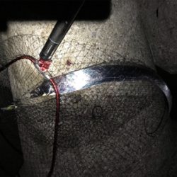 ワインド太刀魚からジギング