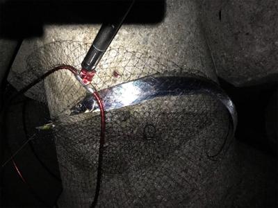 ワインド太刀魚からジギング