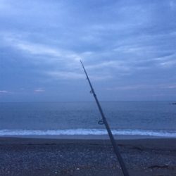 お試し198円ジグ(　˙-˙　)