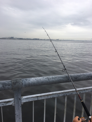 ファミリーフィッシング