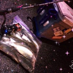 ジメジメ吹っ飛ばすライトゲーム!