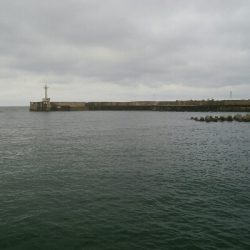 キスとかさごが釣れました