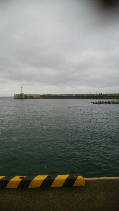 キスとかさごが釣れました