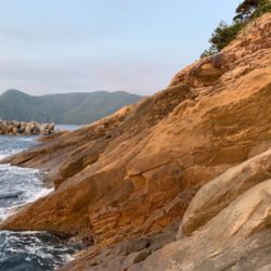 ショアジギで小ヒラマサ