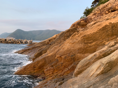 ショアジギで小ヒラマサ